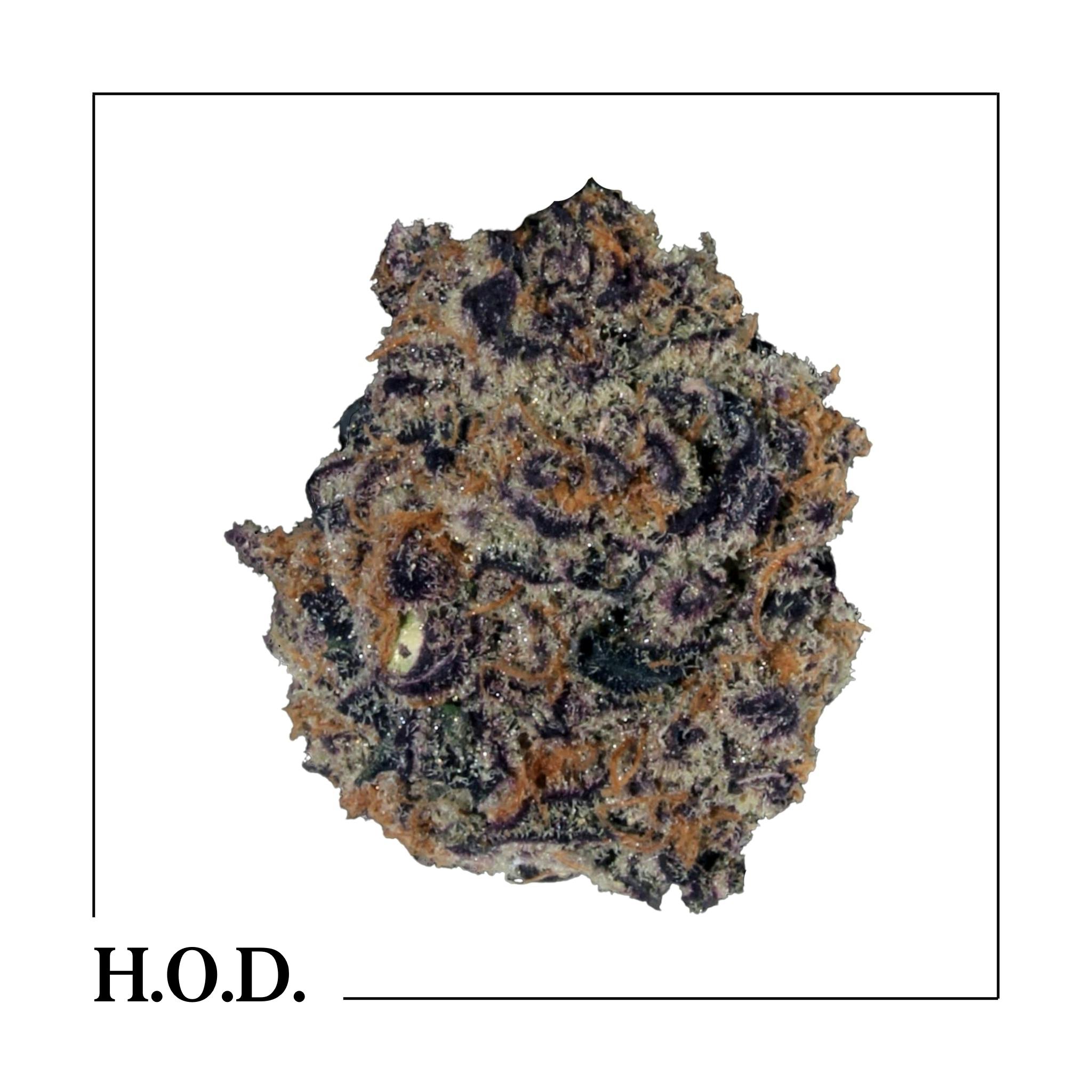 Runtz | Big Buds | 1g by HOUSE OF DANK