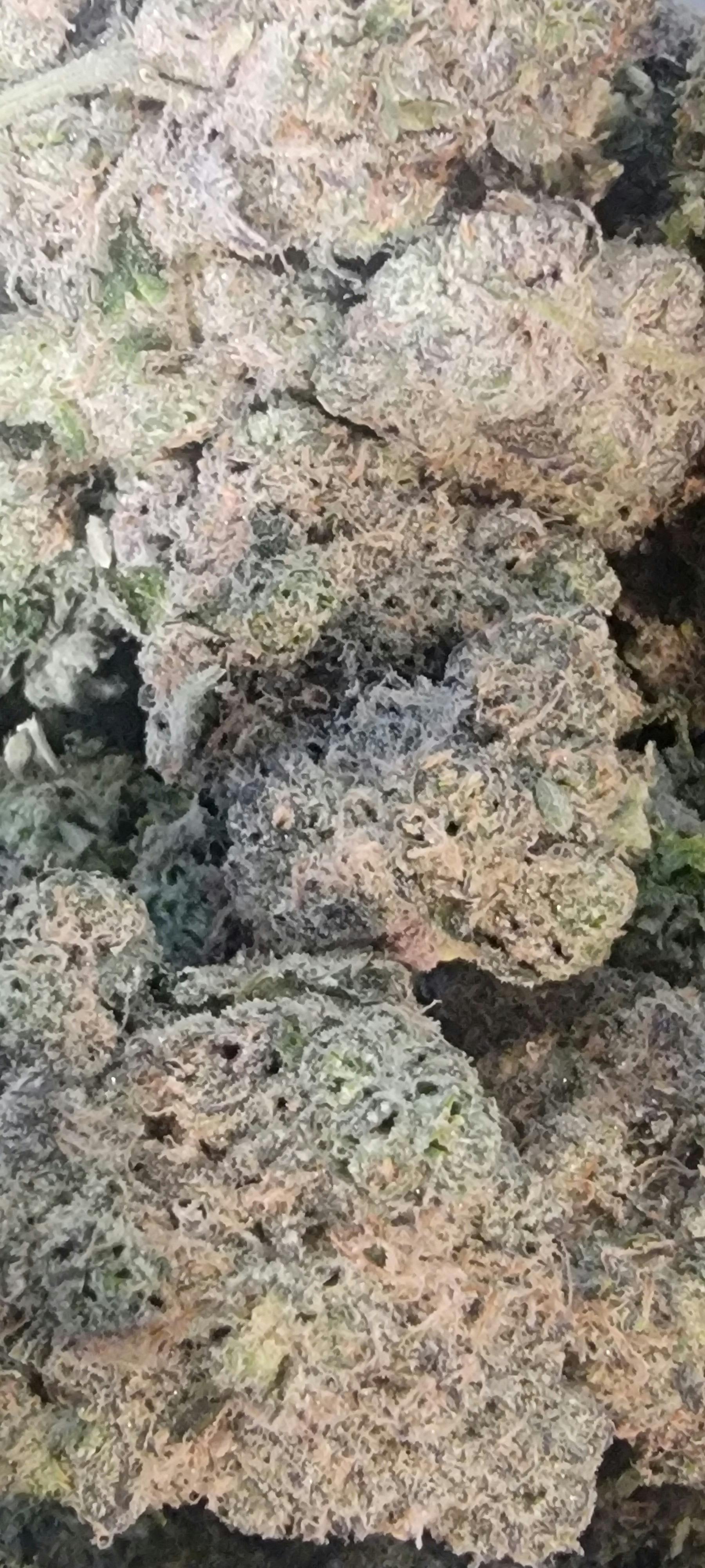 Burger Milk | Big Buds | 3.5g