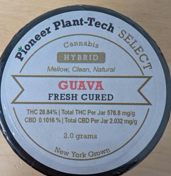 Guava | Big Buds | 2g
