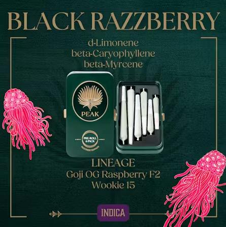 Black Razzberry | Joints | 0.58g | 6pk