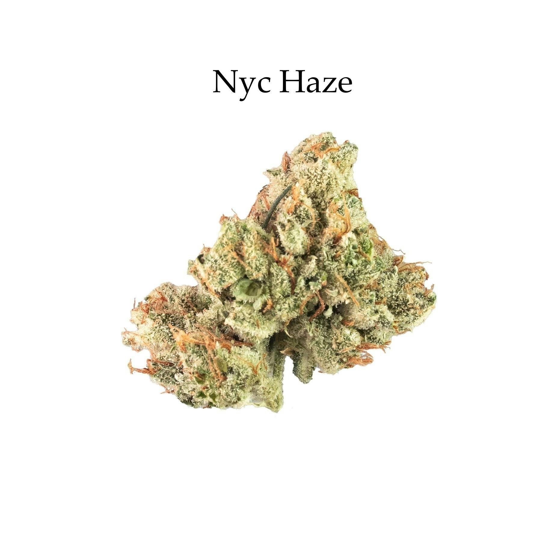 NYC Haze | Big Buds | 3.5g