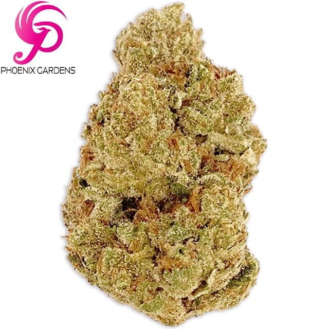 Gelato 45 | Big Buds | 3.5g