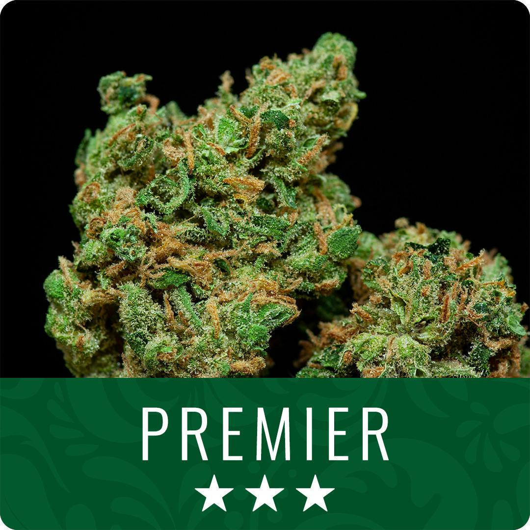 Jelly Cake Big Buds