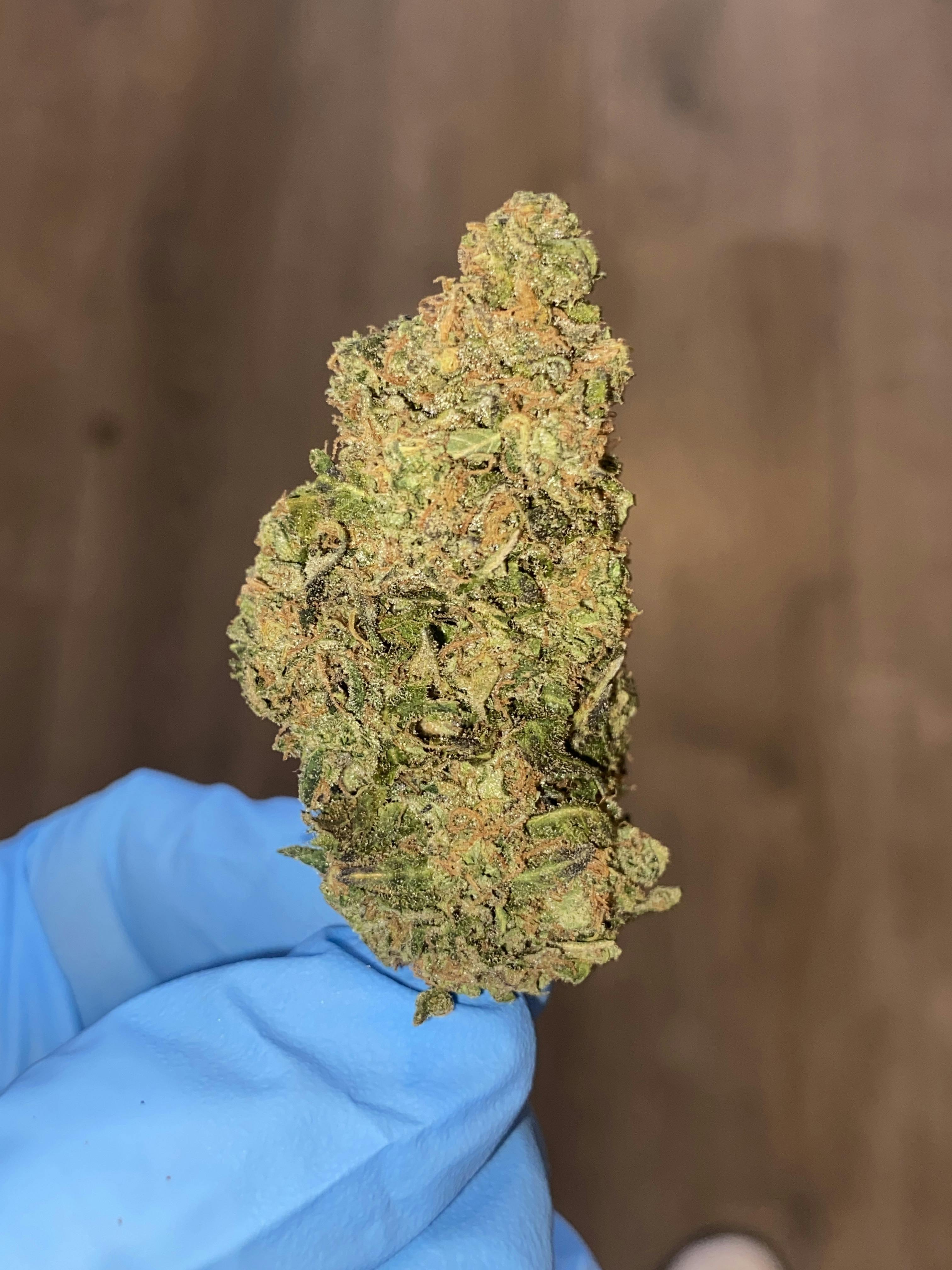 Guava | Big Buds | 3.5g by The Green Well