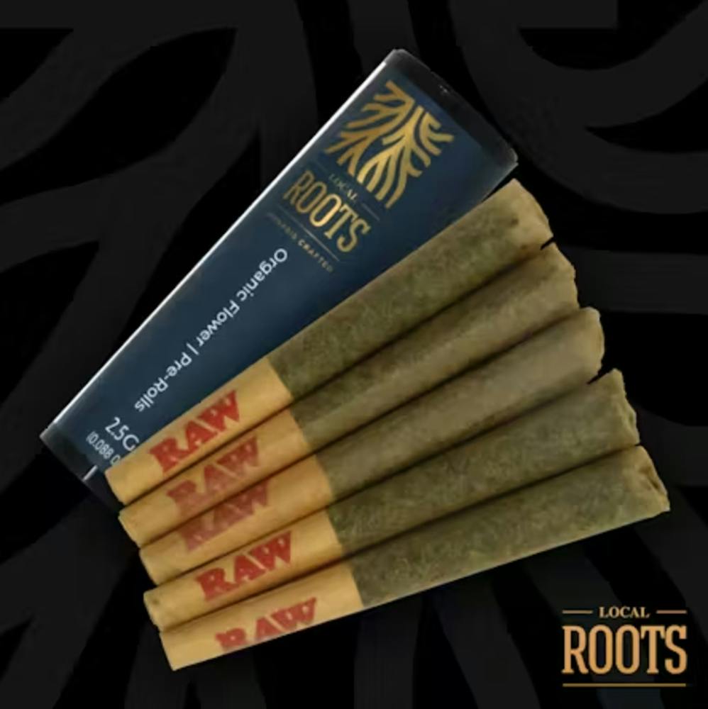 Peyote Cookies | Minis | 0.5g | 5pk