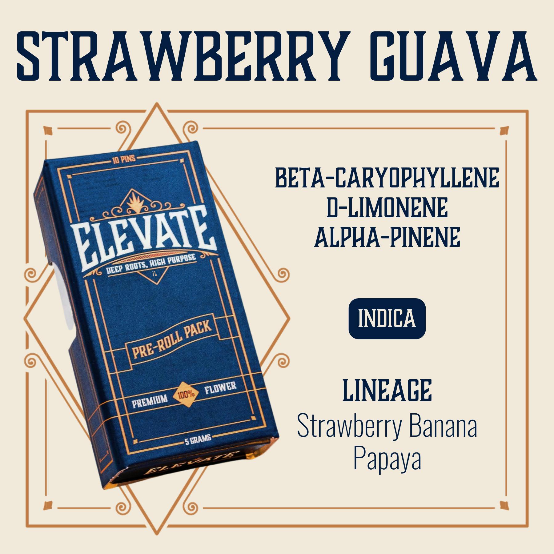 Strawberry Guava | Minis | 0.5g | 10pk