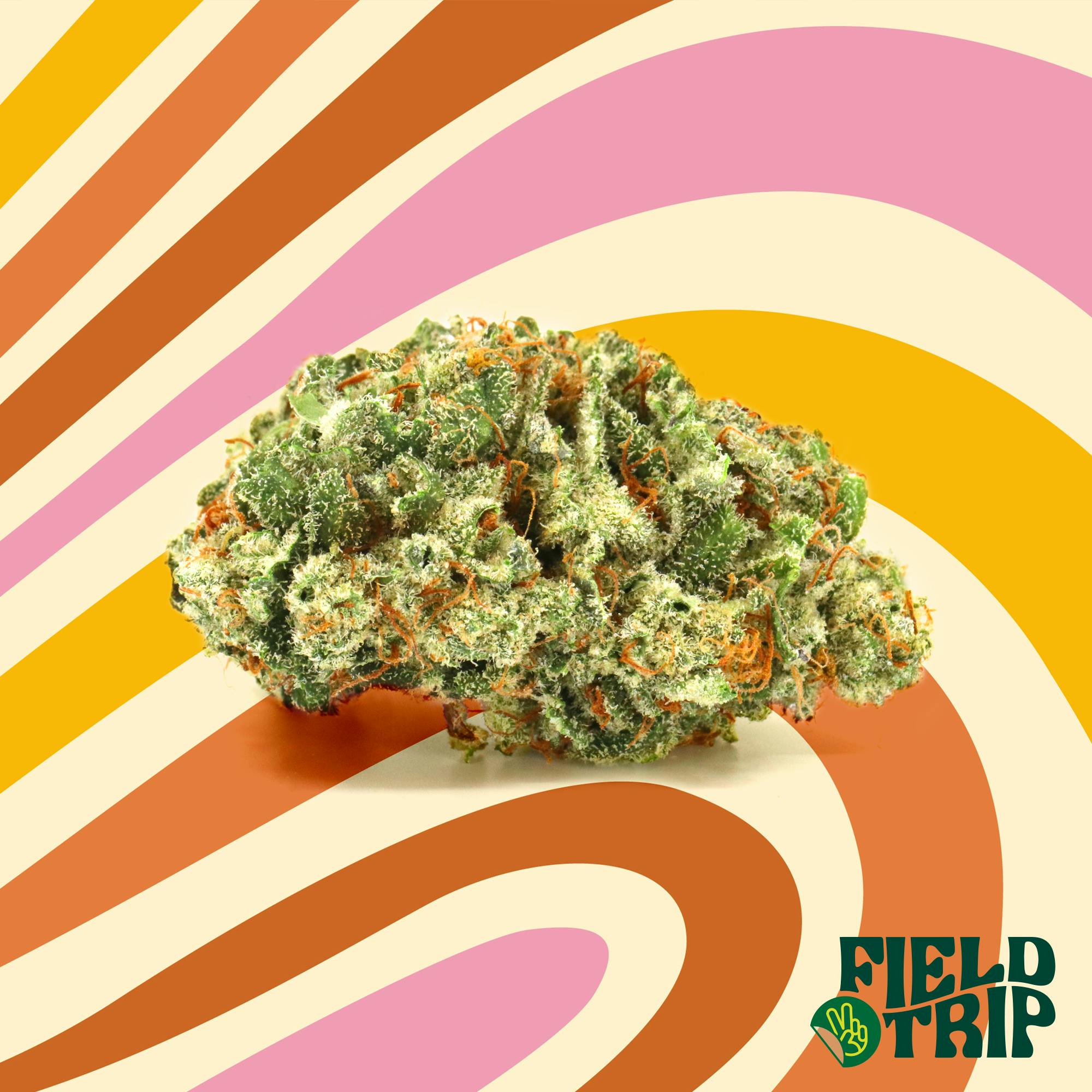 Peanut Butter Breath — Peanut Butter Breath