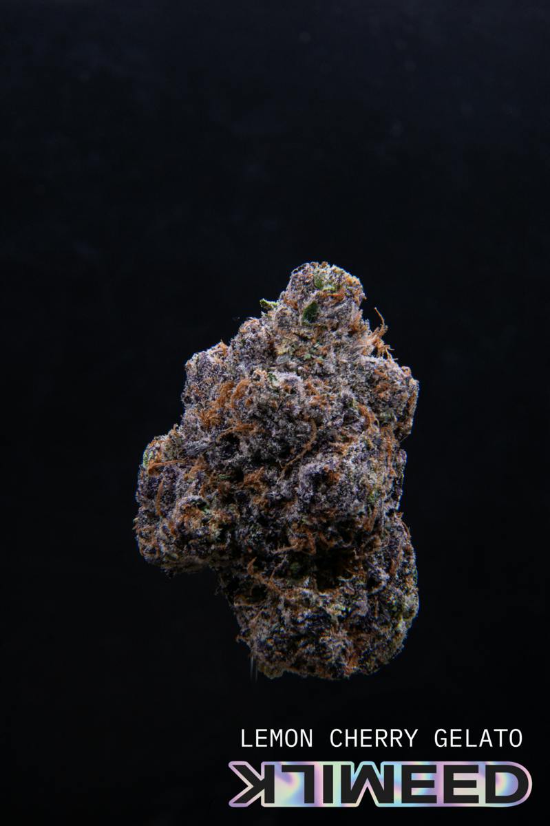 Lemon Cherry Gelato | Big Buds | 7g