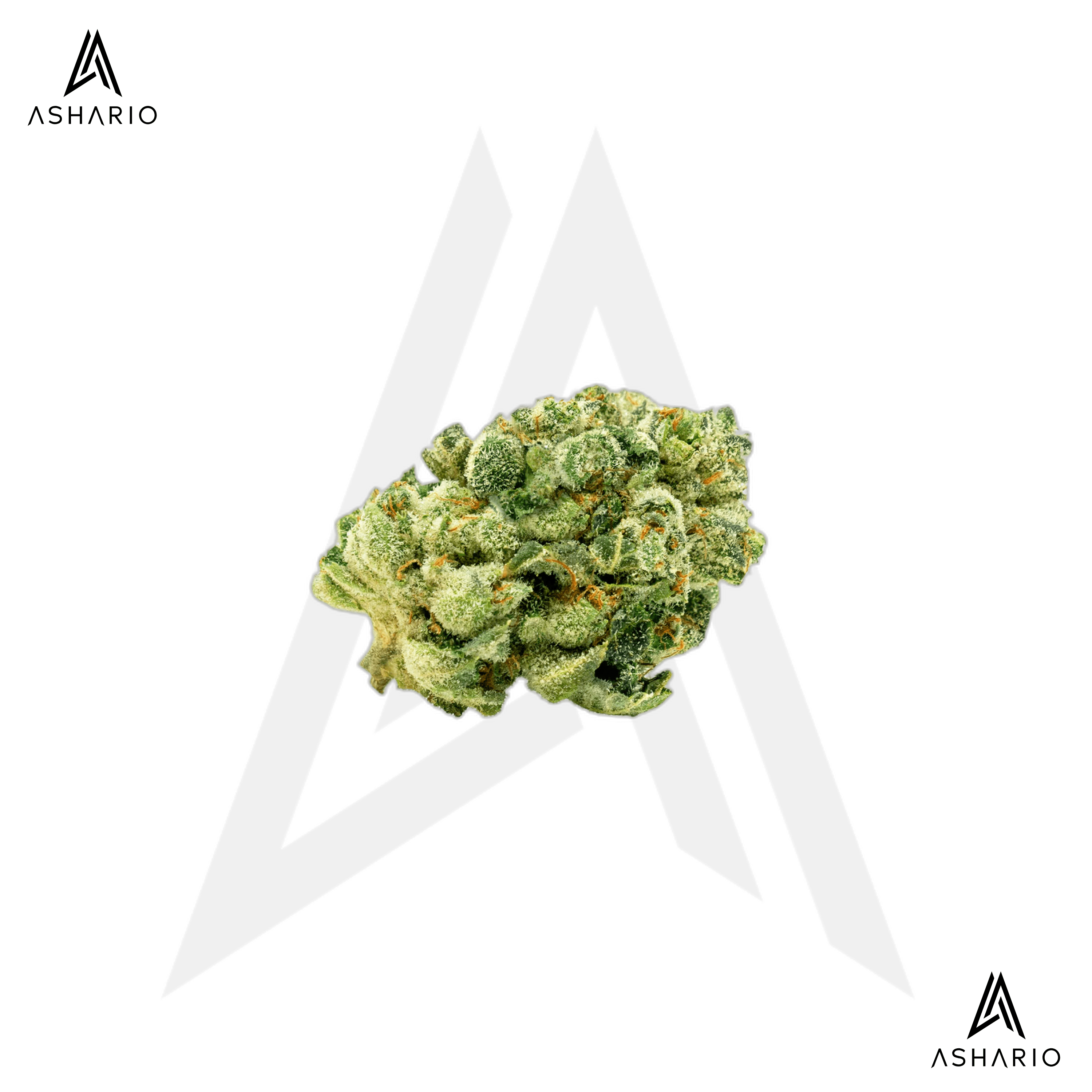 Legendary Larry | Big Buds | 3.5g