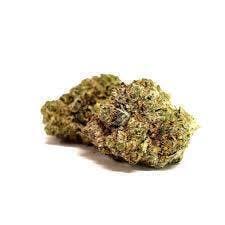 Mod Macberry Moonshine | Smalls | 1g by One Garden