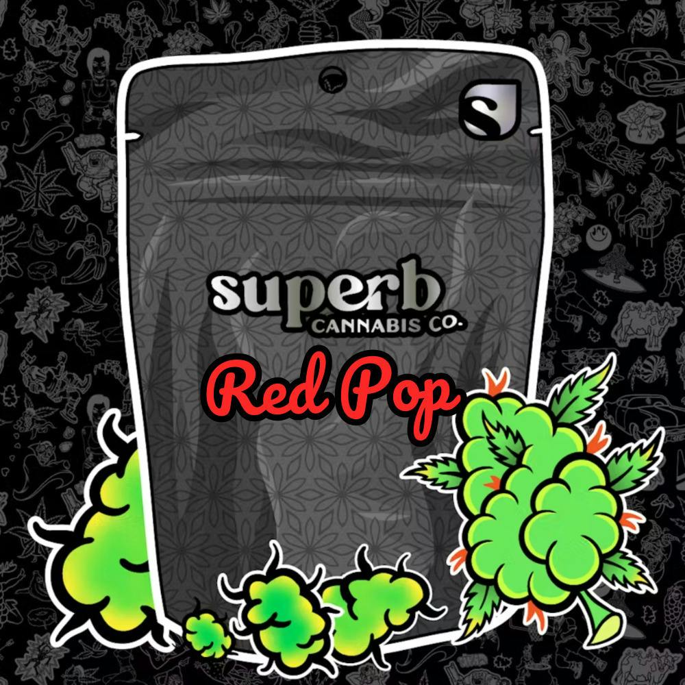 Red Pop | Big Buds | 1g