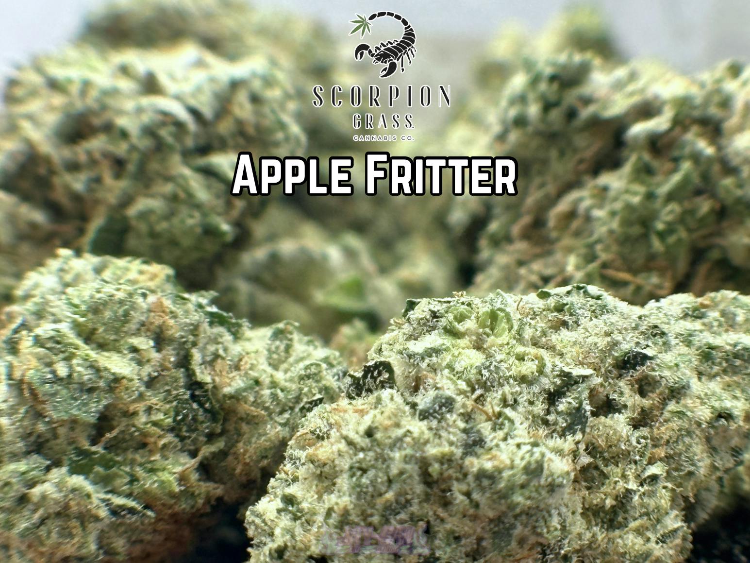 Apple Fritter | Big Buds | 1g by Scorpion Grass