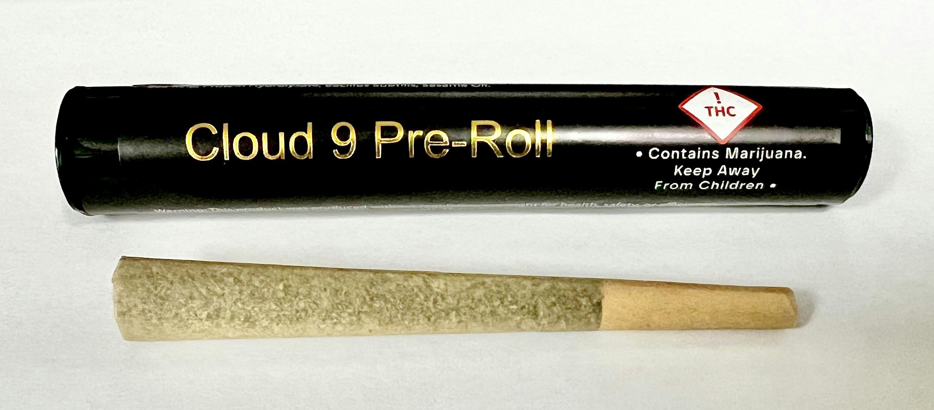 Joints | 1g at Smoke On The Water / Mt. Tom Therapeutics