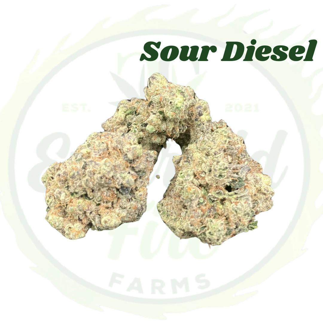 Sour Diesel | Big Buds | 1g