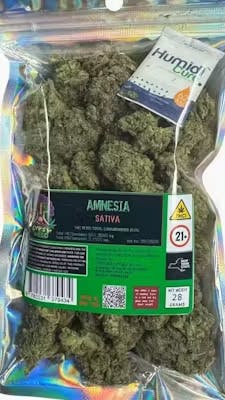 Amnesia | Big Buds | 28g