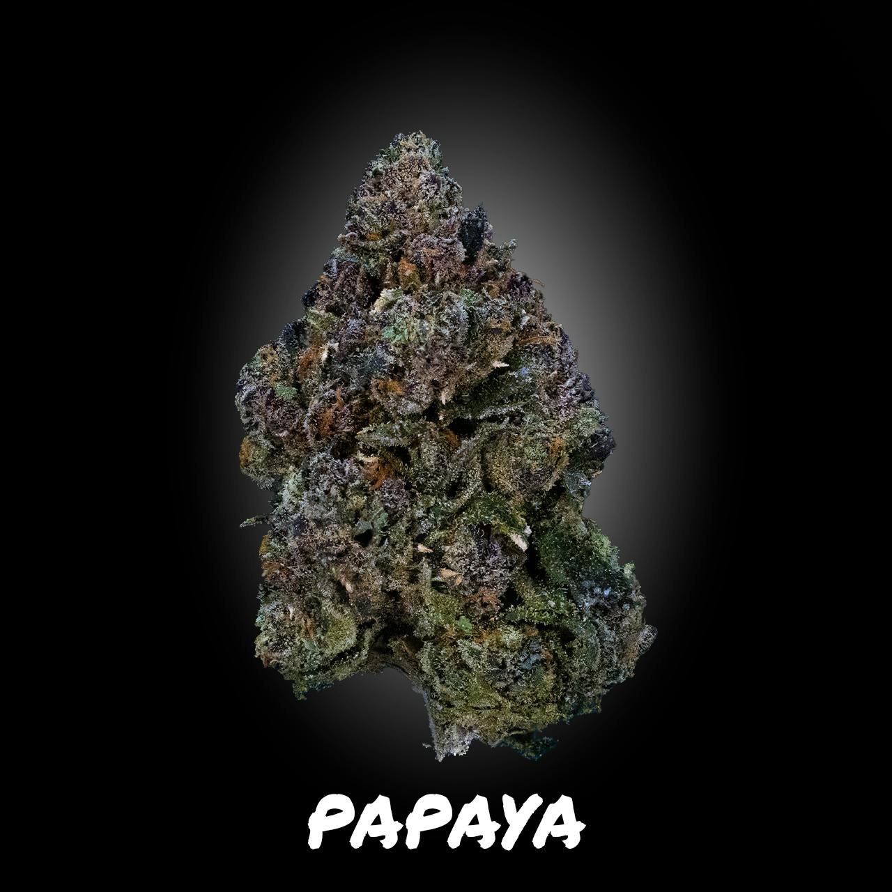 Papaya | Big Buds | 3.5g