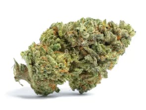 Fight Club | Big Buds | 3.5g at Lake Leaf Cultivation