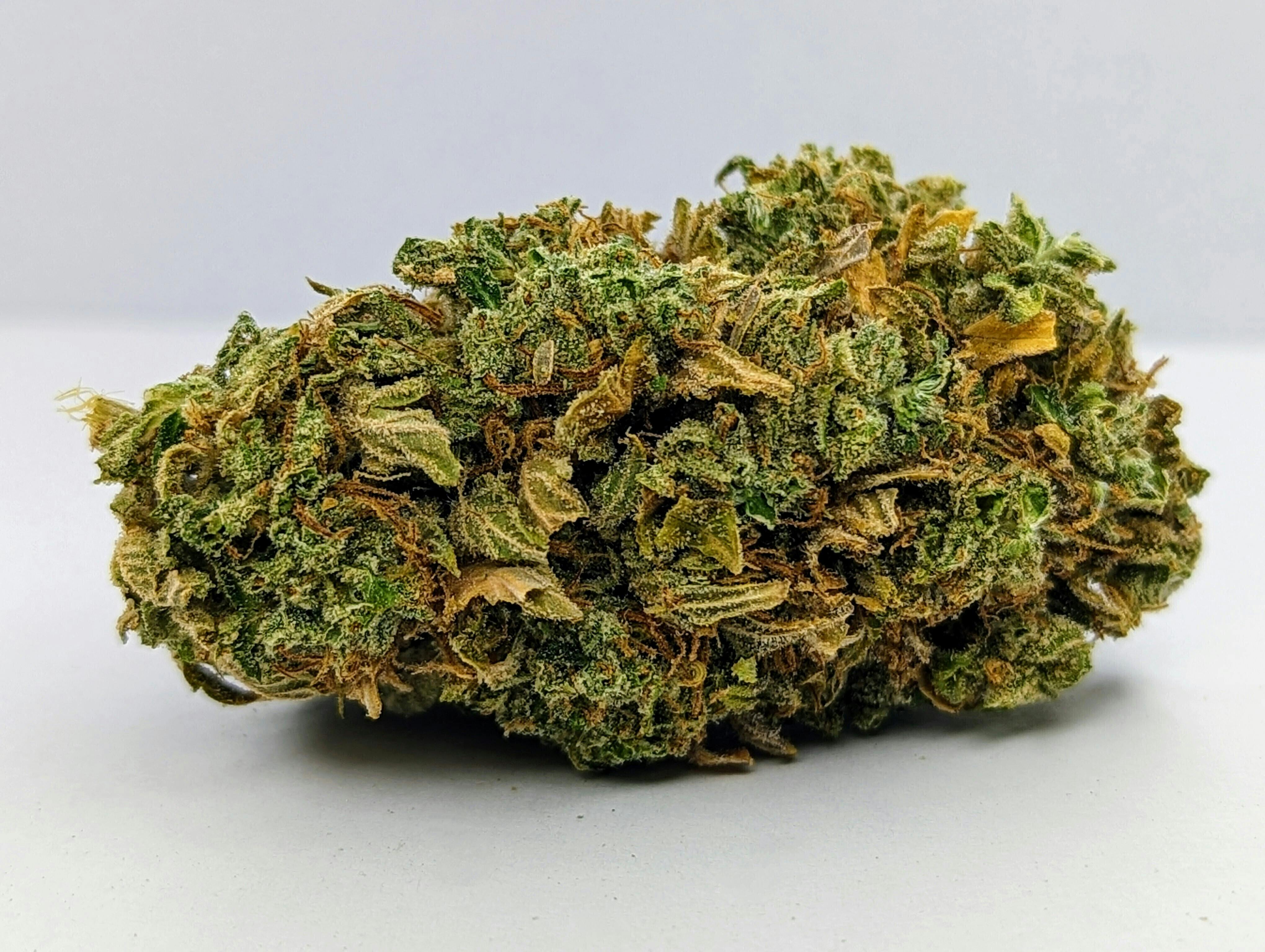 Rainbow Cake | Big Buds | 3.5g by Natural State Medicinals
