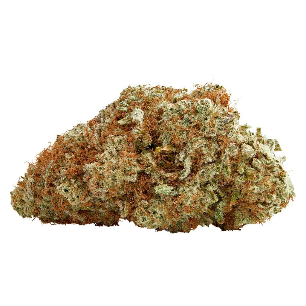 Tropicanna Gold | Big Buds | 3.5g