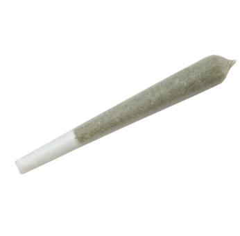 Dubble Bubble