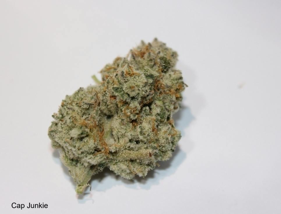 Cap Junkie | Big Buds | 3.5g