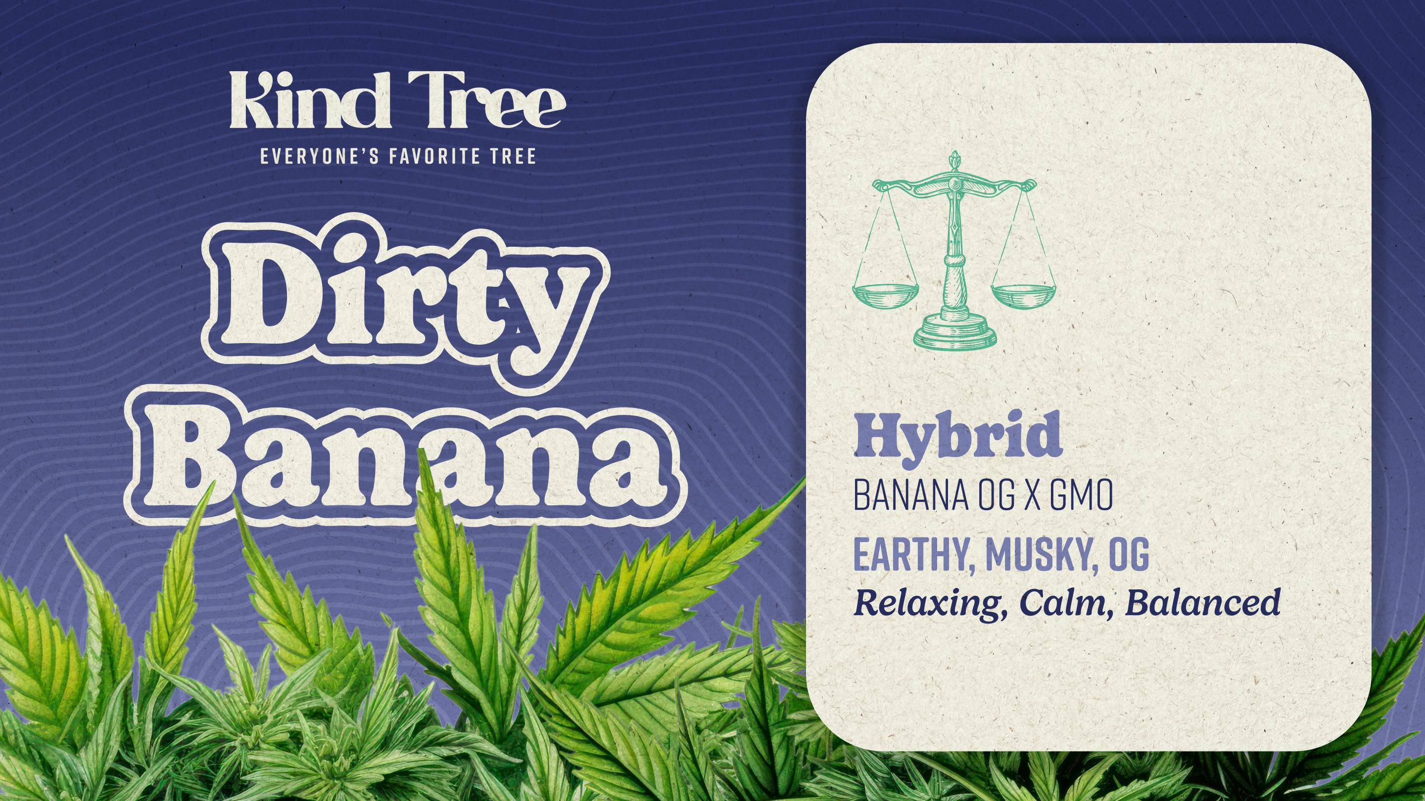 Dirty Banana | Big Buds | 14g by Kind Tree