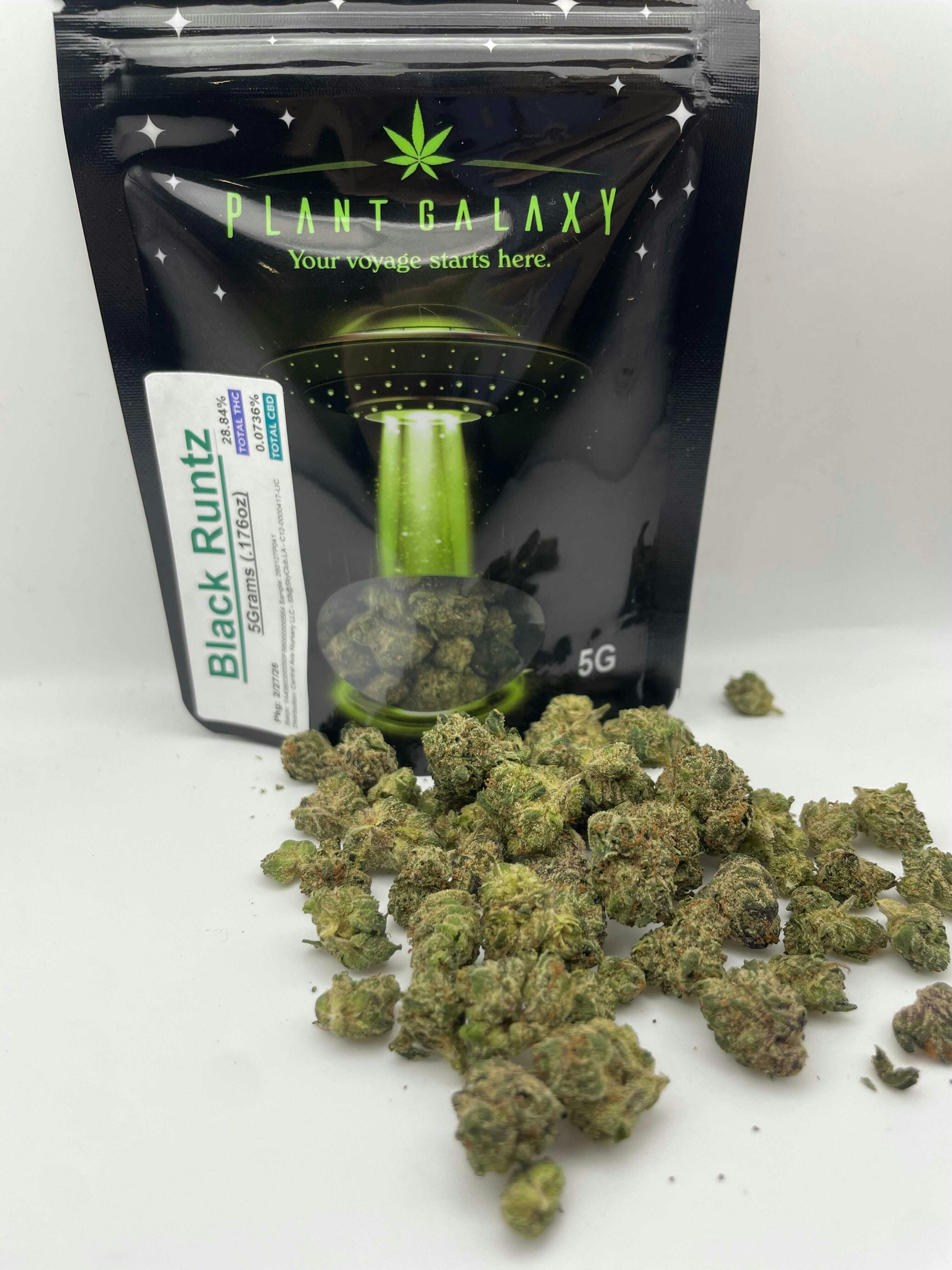 Black Runtz | Big Buds | 14g - Plant Galaxy