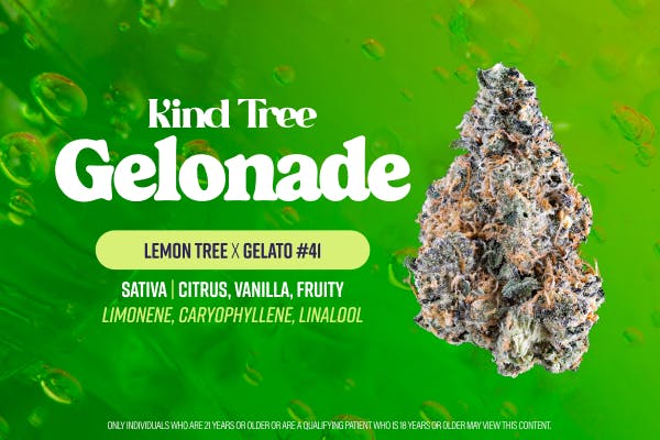 gelonade | Big Buds | 3.5g by Kind Tree