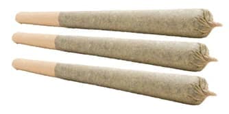 Powdered Donuts | Blunts | 1.5g