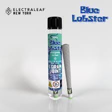 Blue Lobster | Joints | 1g by ElectraLeaf