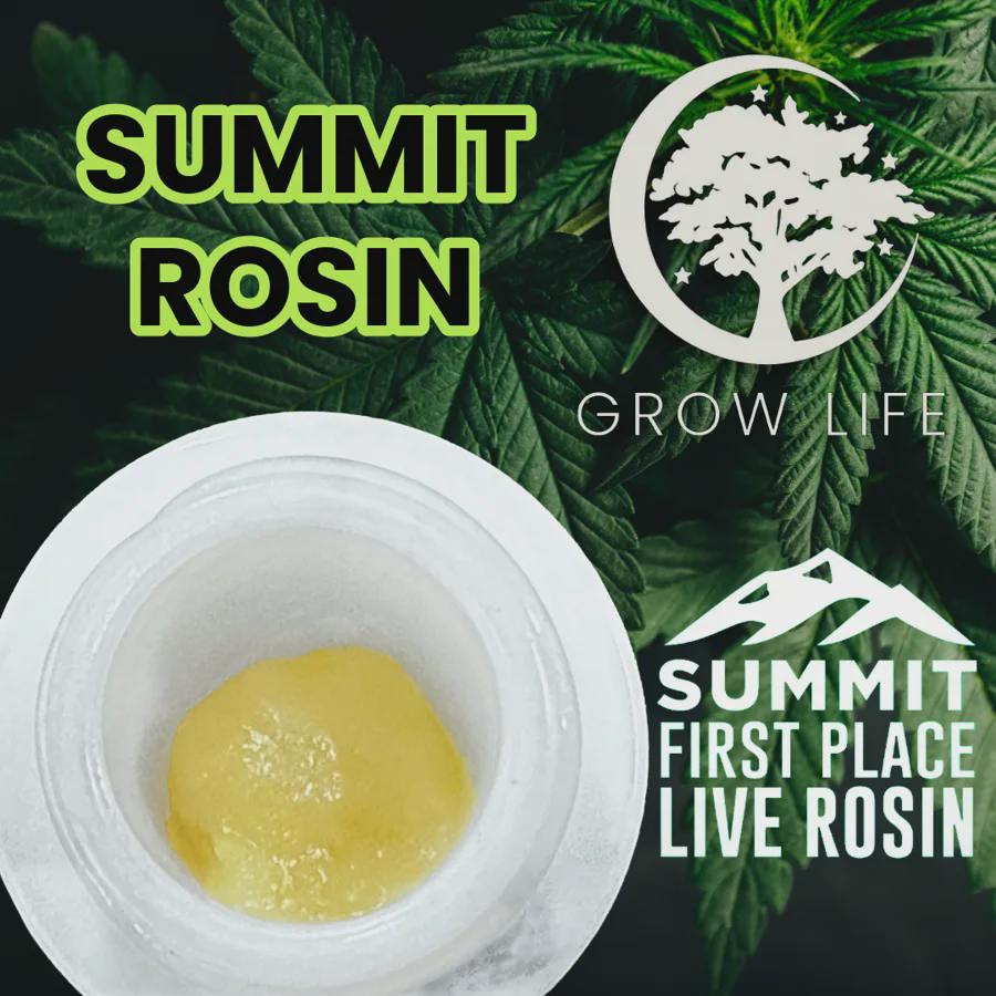 Chem D I-95 Gelato | Solventless | Rosin | 1g