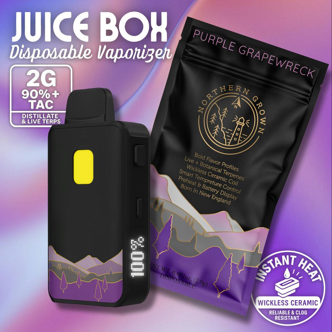 purple grapewreck | Disposable | 2g by Northern Grown