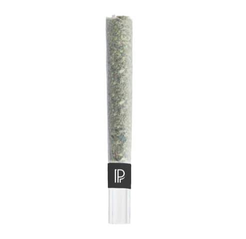 Lindsay OG | Infused Blunts | 1.5g
