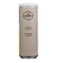Raspberry Lemonade | Carbonated | 10mg | 355ml