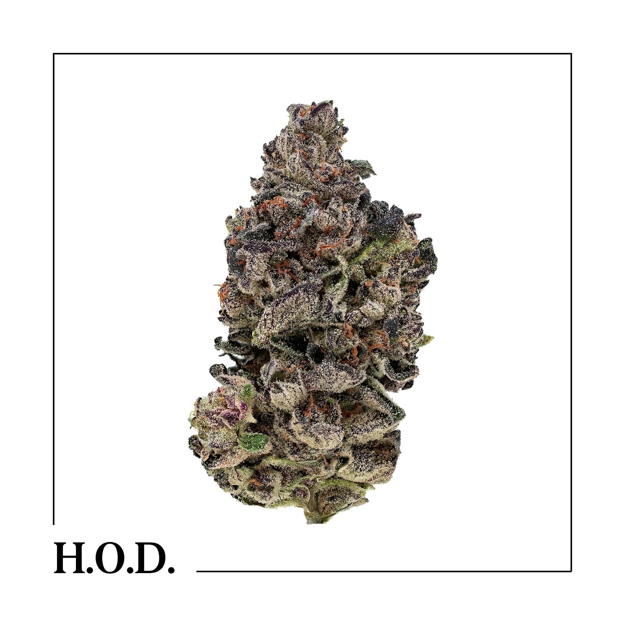 Lemon Cherry Gelato | Big Buds | 1g by HOUSE OF DANK