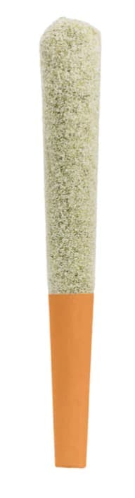 Smashed Orange | Infused Joints | 1g