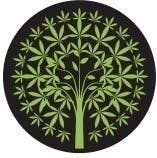 Black Gummy | Big Buds | 4g