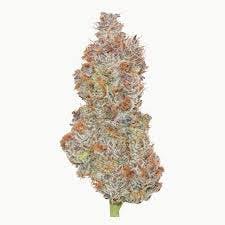 High Fructose Corn Syrup | Big Buds | 3.5g
