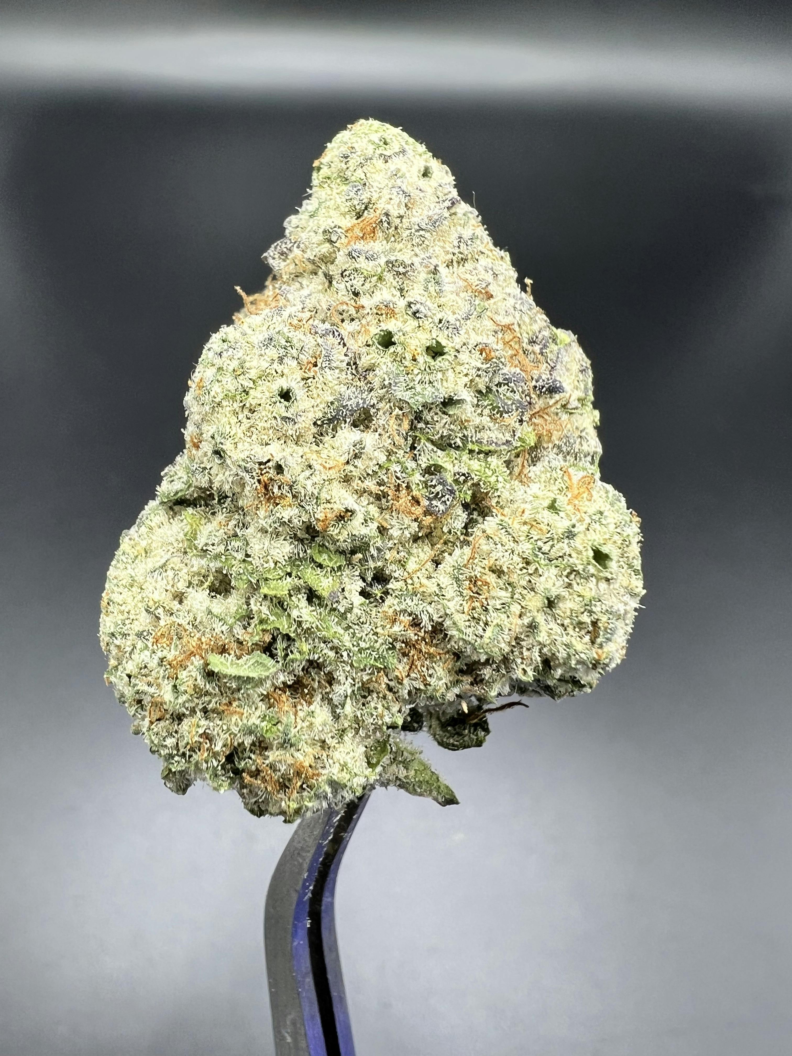 Black Ice Big Buds