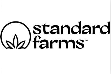 Blonde Chocolate Biscoffee Bar | Chocolates | 10pk | 10mg/ea by Standard Farms