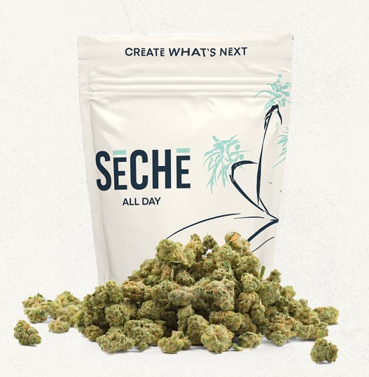 Stun Spore | Big Buds | 28g by Seche
