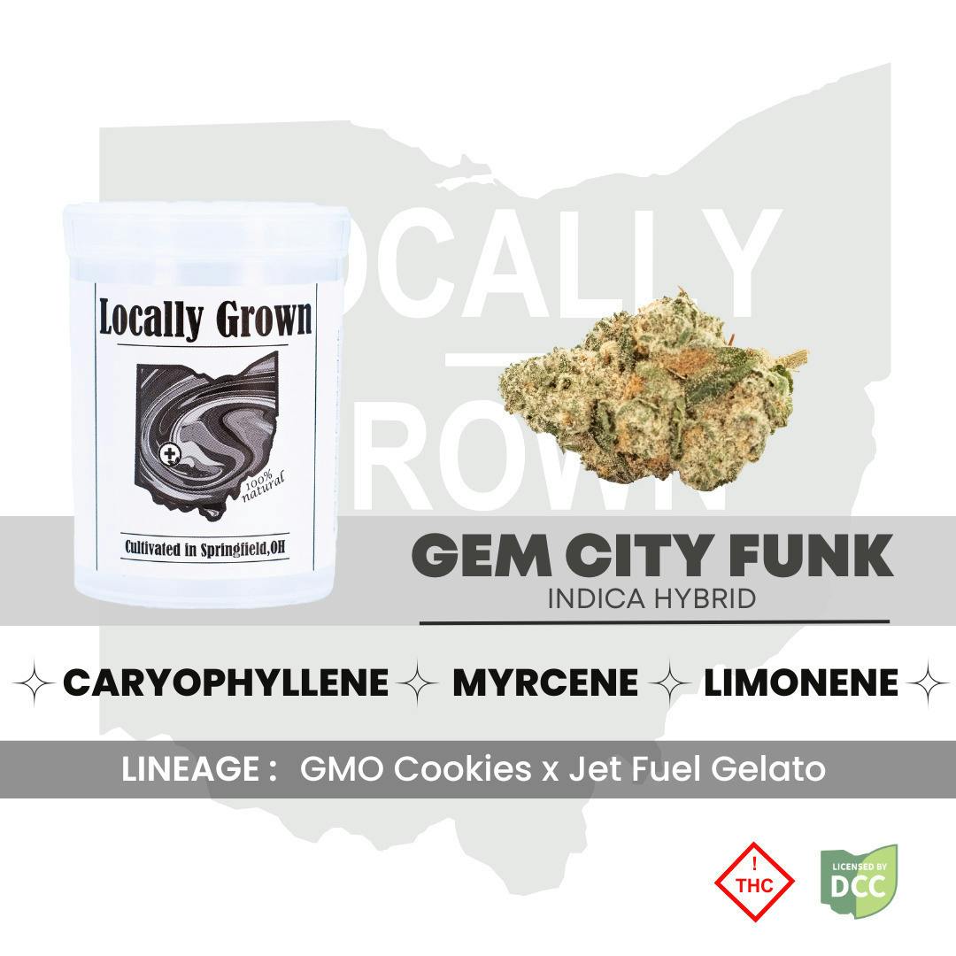 gem city funk | Big Buds | 2.83g at Pure Ohio Wellness