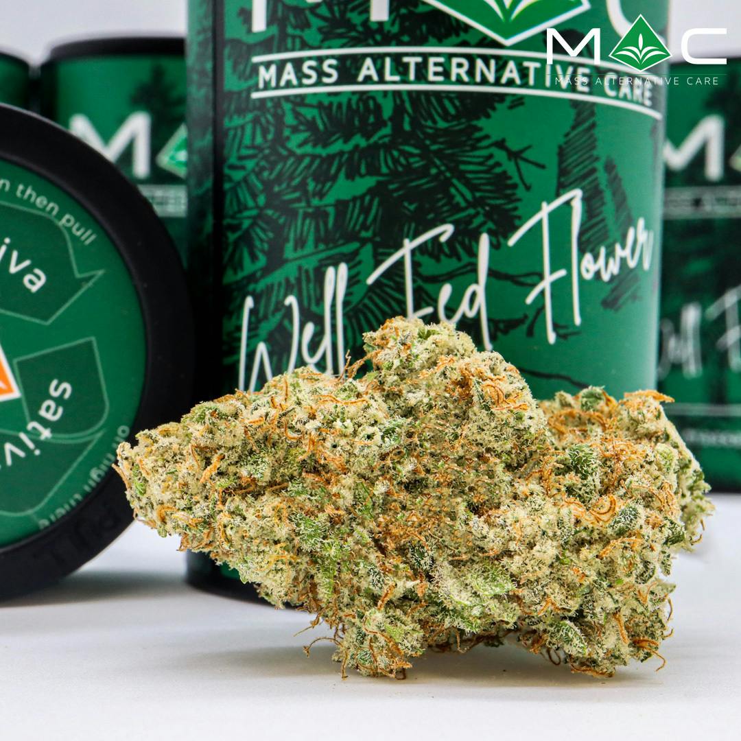 Sweet Tree | Big Buds | 3.5g