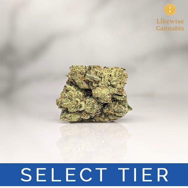 Burger Milk | Big Buds | 3.5g