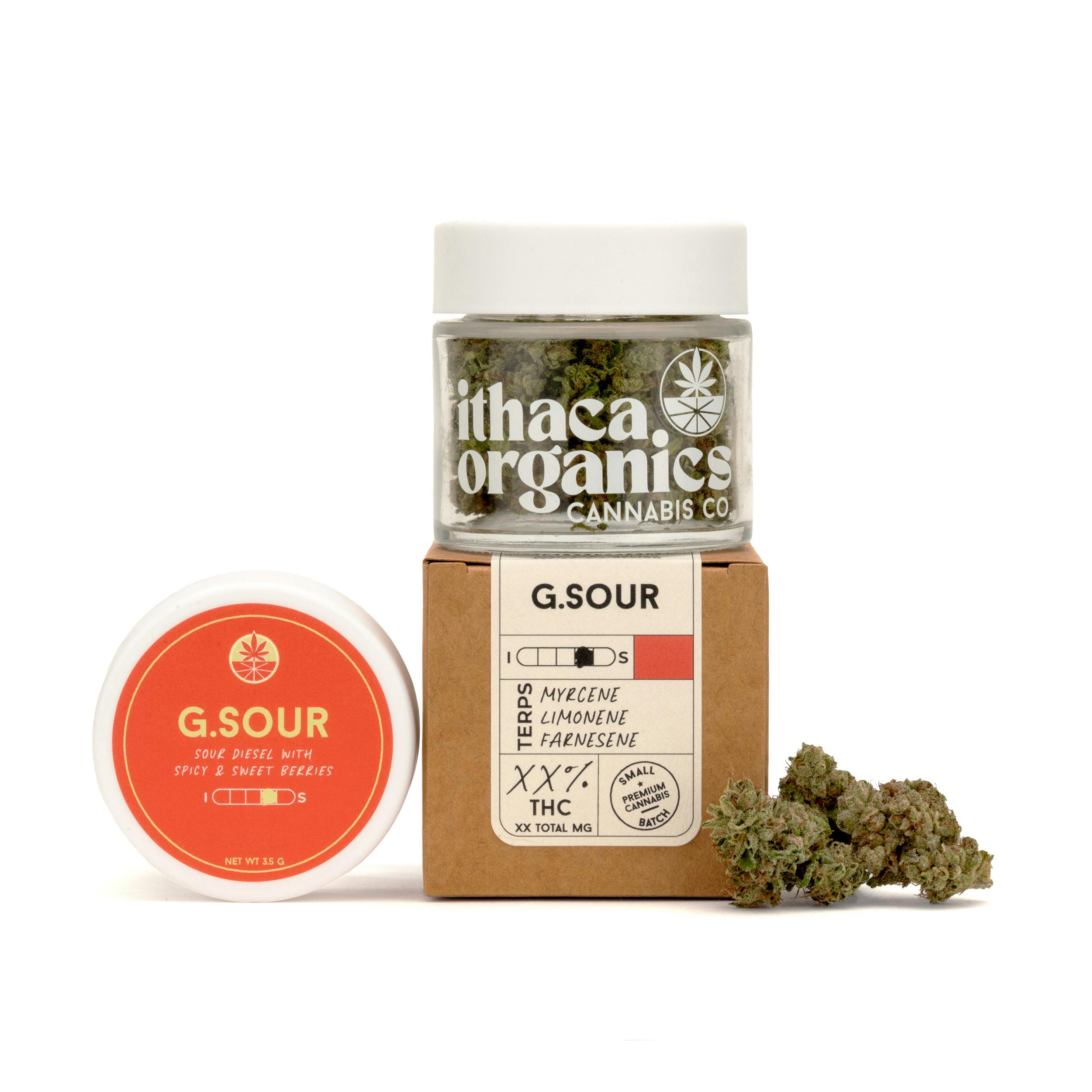 Grapefruit Sour Big Buds