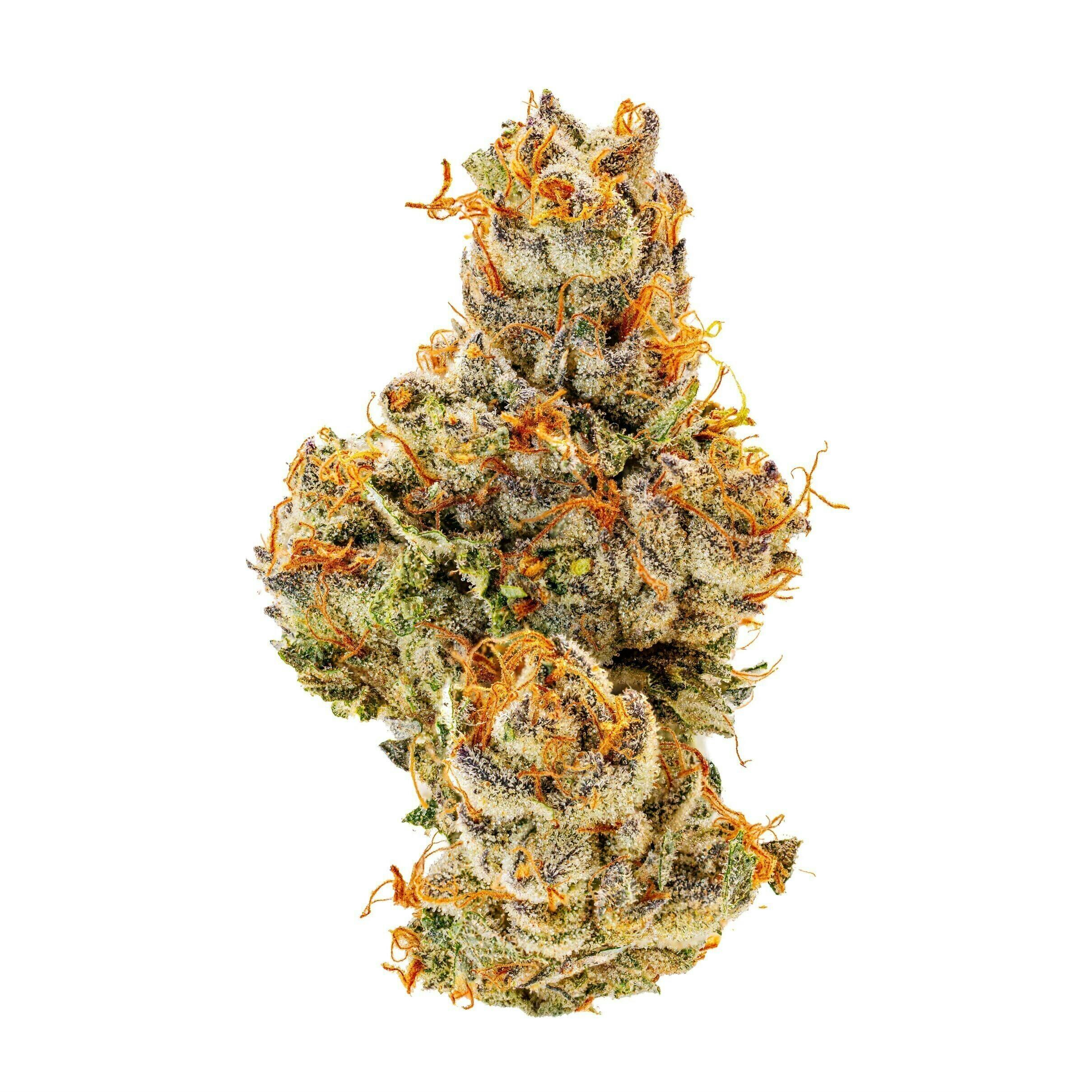 Georgia Apple Pie | Buds | 3.5g