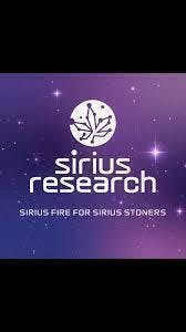 Platinum Life Hack | Big Buds | 3.5g by SIRIUS RESEARCH LLC