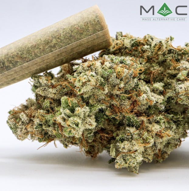 Sweet Tree | Joints | 1g by Mac