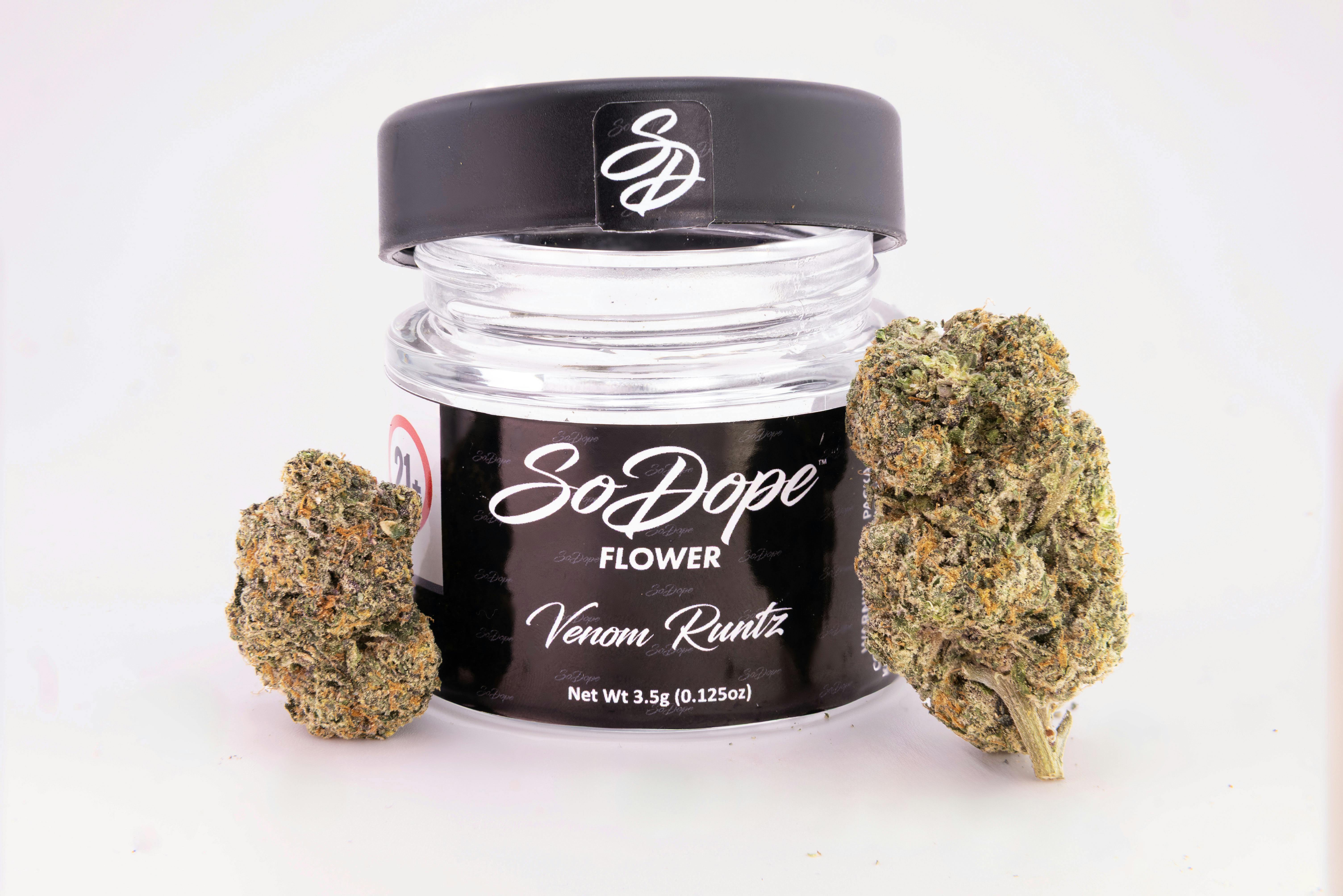 Venom Runtz | Big Buds | 3.5g