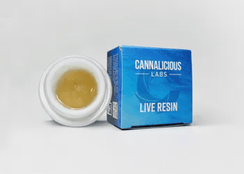 Orange Crush | Live Resin | 2g